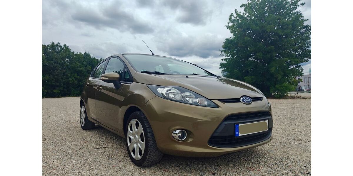 Ford Fiesta 125.000 km 4.500 &euro; Nürnberg 90439