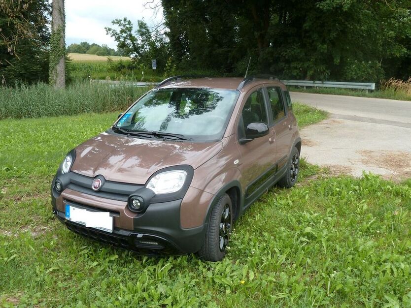 Panda
