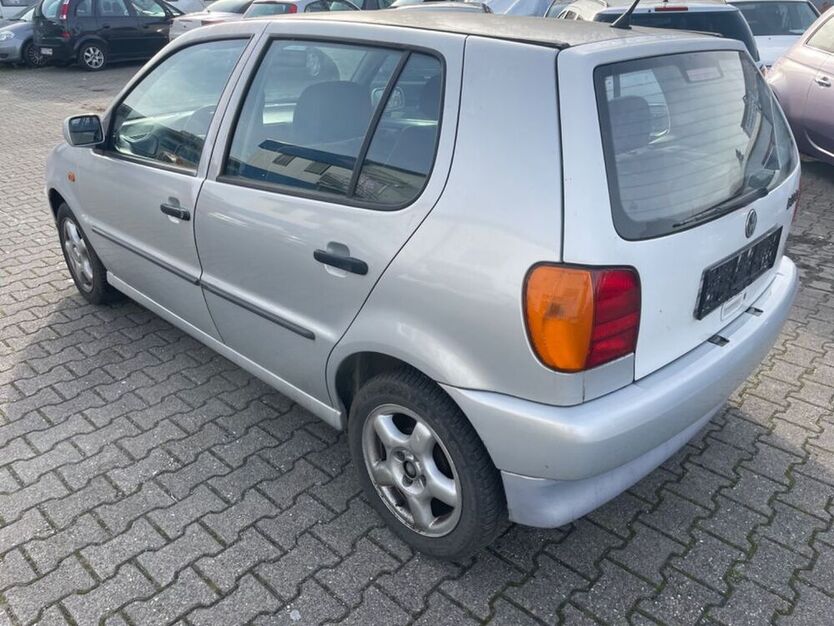 Polo