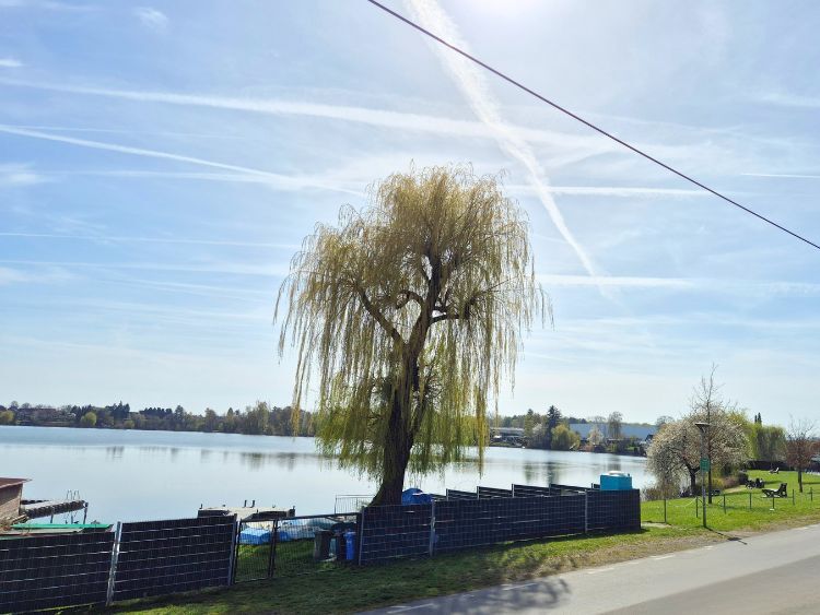 Juwel am See – traumhaftes Feriendomizil mit Teilungspotential - Ferienhaus Hungen Inheiden | Angebot:26443413