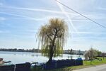 Juwel am See – traumhaftes Feriendomizil mit Teilungspotential - Ferienhaus Hungen Inheiden | Angebot:26443413