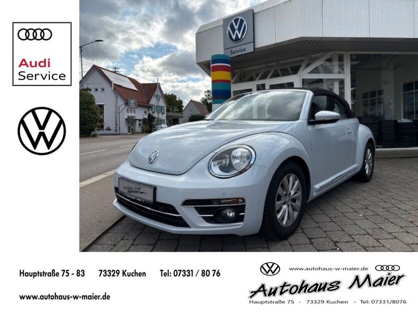 Beetle