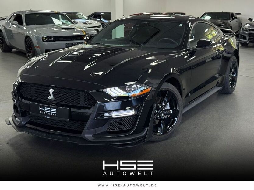 Mustang