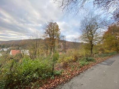 IHR RÜCKZUGSORT: 960 M² INMITTEN DER NATUR - Grundstück Hannoversch Münden | Angebot:27095291