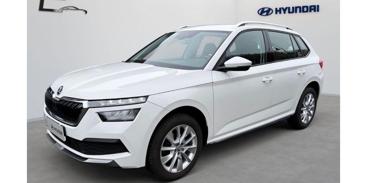 Skoda Kamiq 110.056 km 13.990 &euro; Contwig 66497