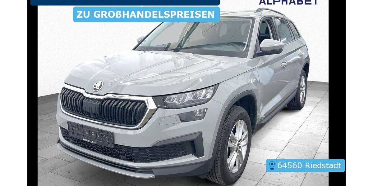 Skoda Kodiaq 181.345 km 20.697 &euro; Frankfurt 60596