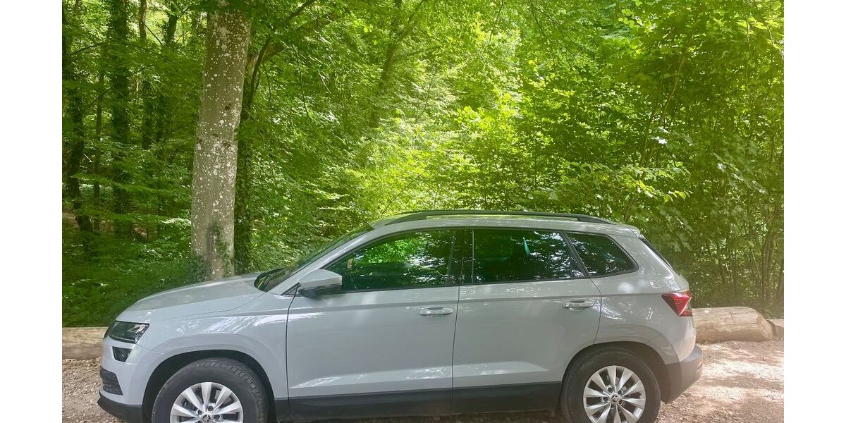 Skoda Karoq 86.000 km 20.200 &euro; Perl 66706