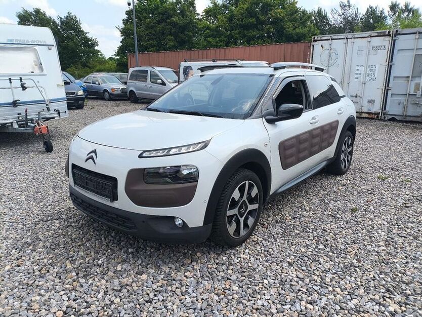 C4 Cactus