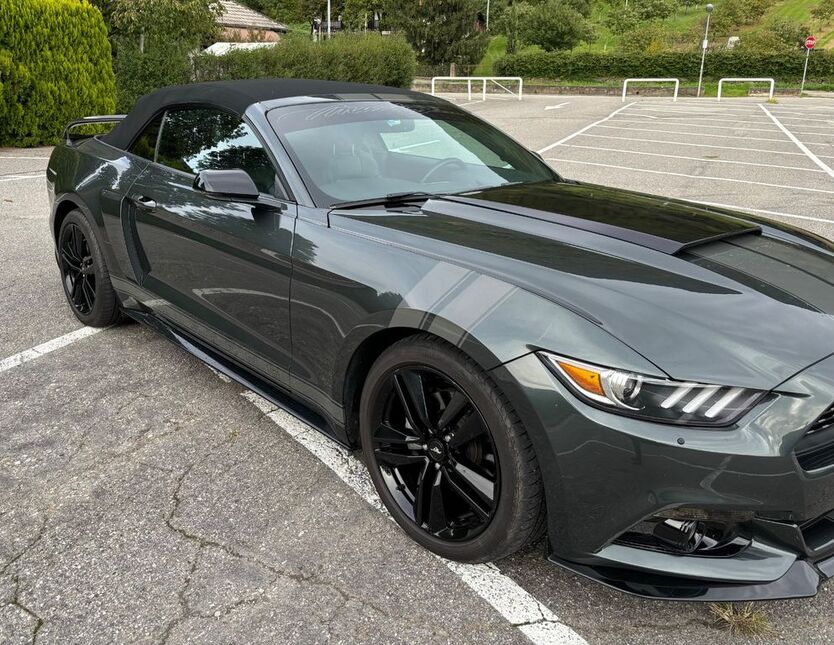 Mustang
