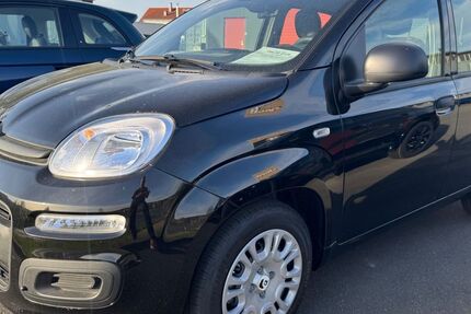 Fiat Panda 1.500 km 13.990 &euro; Erbach 64711