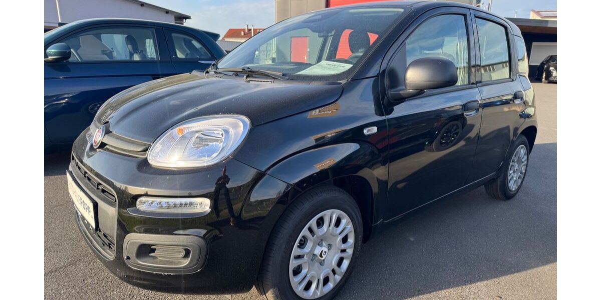 Fiat Panda 1.500 km 13.990 &euro; Erbach 64711