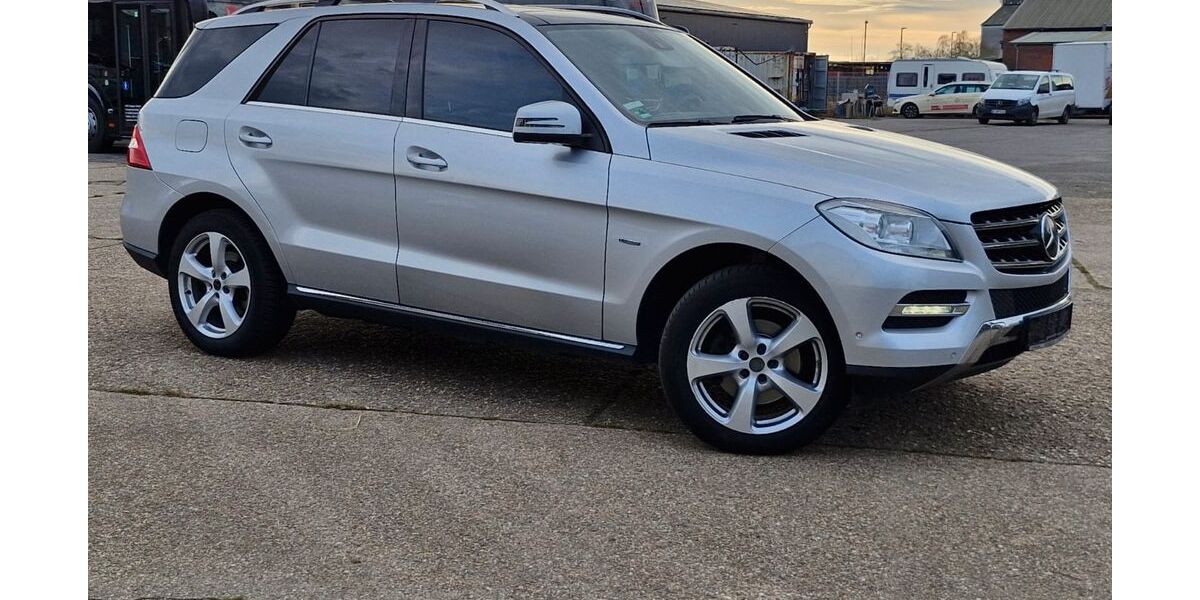 Mercedes-Benz ML 250 284.339 km 8.900 &euro; Titz 52445