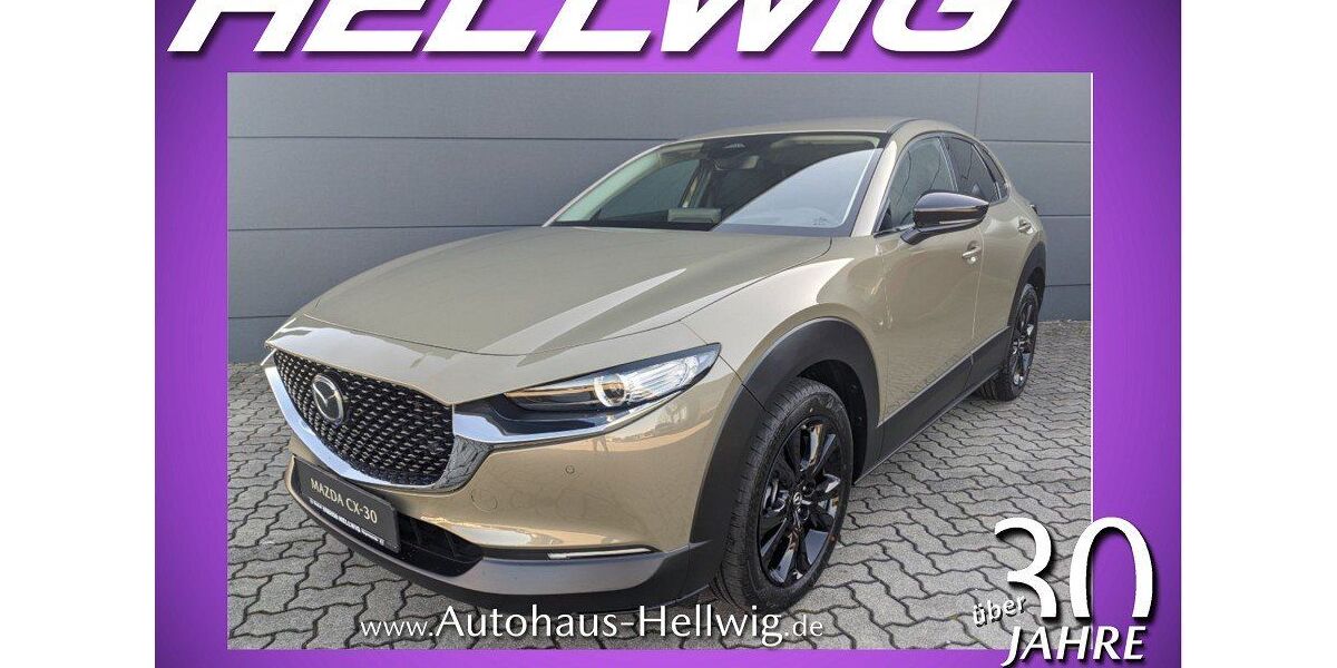 Mazda CX-30 12.990 km 25.480 &euro; Hoyerswerda 02977