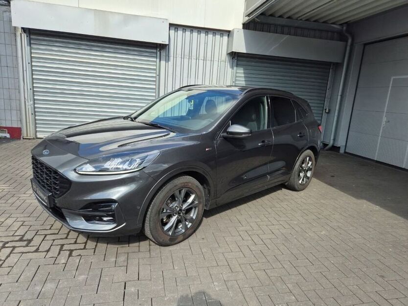 Kuga