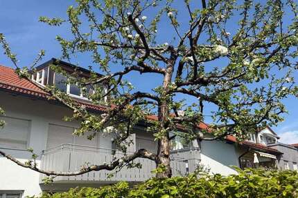 Wohnung Taufkirchen - 3 Zimmer, 86 m&sup2;, 1.500&euro; | Angebot:26343372
