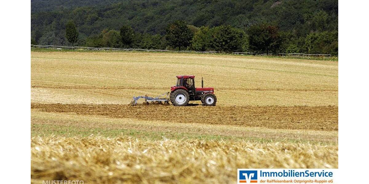 Grundstück Neuruppin - 116.130&euro; | Angebot:25983398