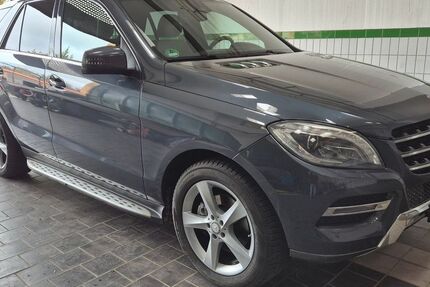 Mercedes-Benz ML 350 219.306 km 19.900 &euro; Oberleichtersbach 97789