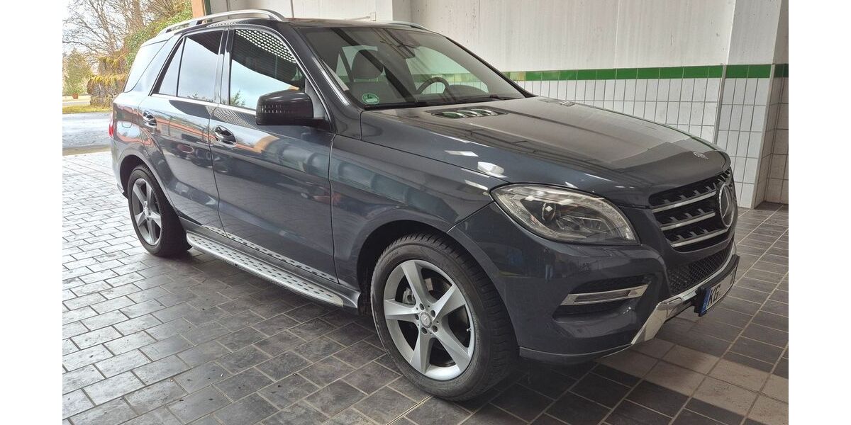 Mercedes-Benz ML 350 219.306 km 19.900 &euro; Oberleichtersbach 97789