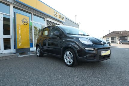 Fiat Panda 56.100 km 10.899 &euro; Neunburg v. W. 92431