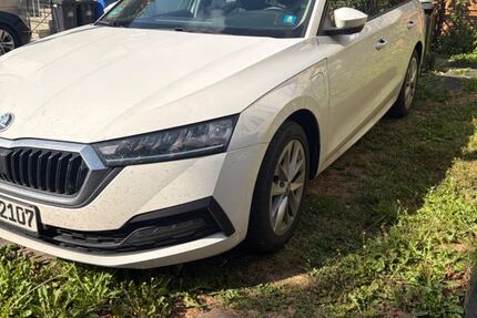 Skoda Octavia 51.000 km 18.500 &euro; Felsberg 34587