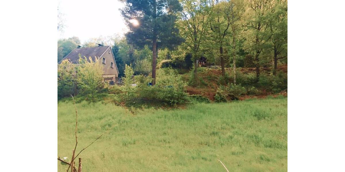 Grundstück Tharandt - 89.000&euro; | Angebot:23976084
