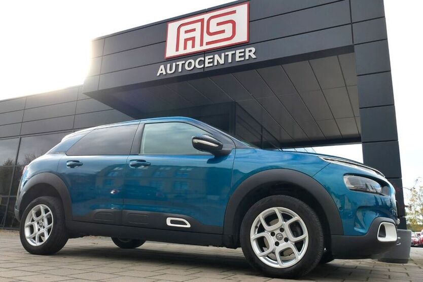 C4 Cactus