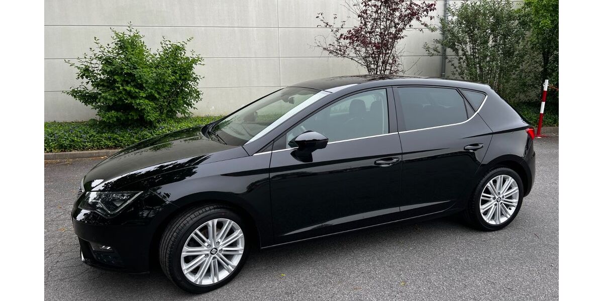 Seat Leon 115.000 km 13.900 &euro; Werne 59368