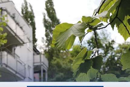 Wohnung Dresden Blasewitz - 3 Zimmer, 74 m&sup2;, 216.900&euro; | Angebot:27126380