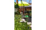 Mehrfamilienhaus, Wohnhaus Neuhaus (Oste) - 7 Zimmer, 220 m&sup2;, 450.000&euro; | Angebot:27224965