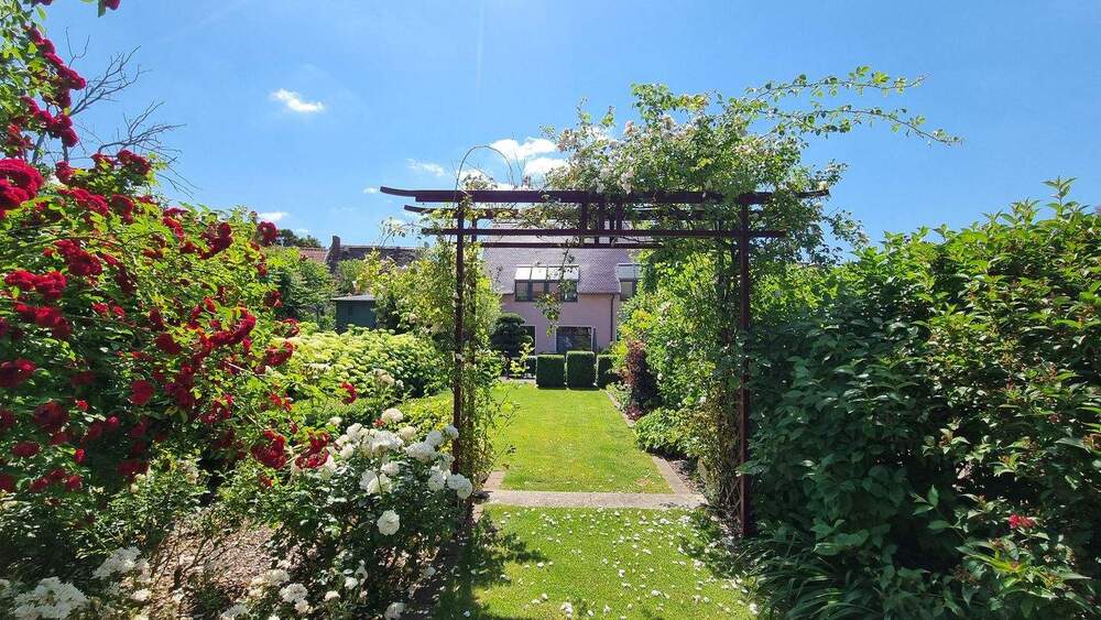 Mehrfamilienhaus, Wohnhaus Lutherstadt Eisleben - 3 Zimmer, 176 m&sup2;, 450.000&euro; | Angebot:25749323