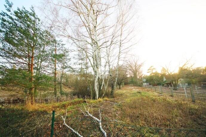 Grundstück Kemberg - 39.000&euro; | Angebot:25705739