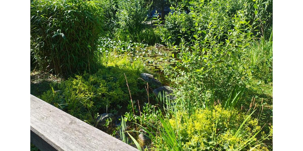 Gewerbeobjekt Bruchsal - 920&euro; | Angebot:26634226