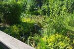 Gewerbeobjekt Bruchsal - 920&euro; | Angebot:26634226
