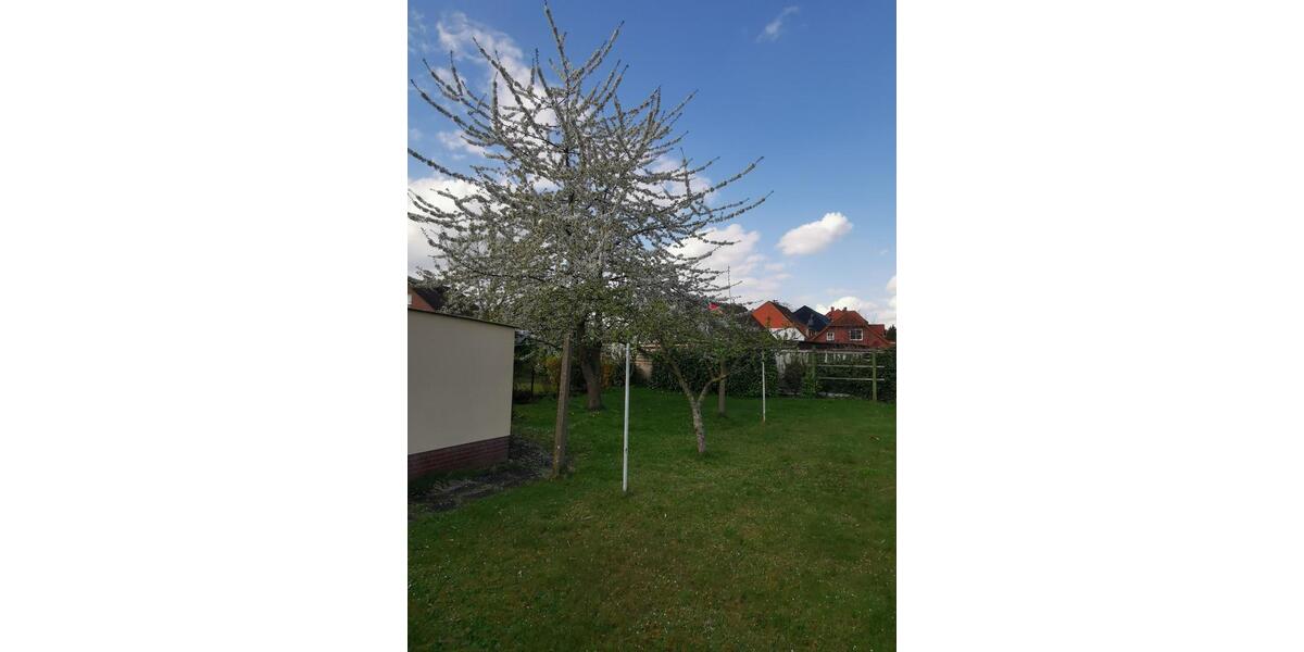Doppelhaushälfte Nienburg (Weser) - 5 Zimmer, 113 m&sup2;, 158.000&euro; | Angebot:27002914