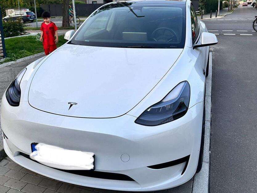 Model Y