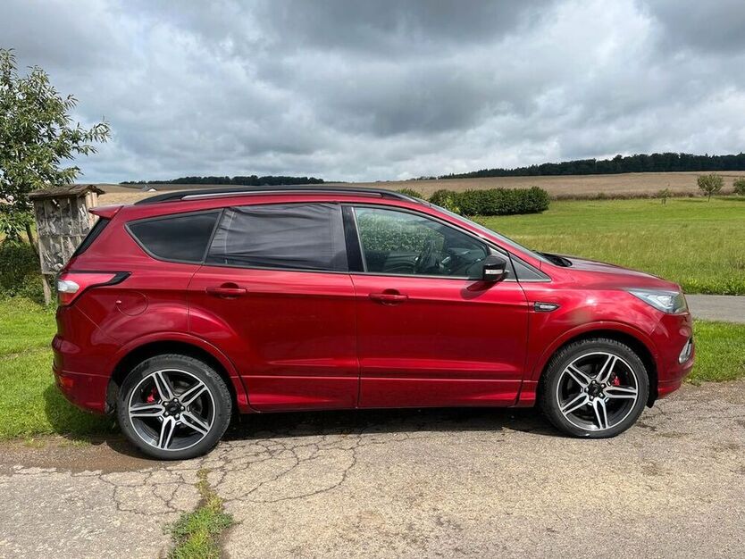 Kuga