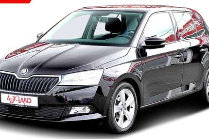 Skoda Fabia 45.428 km 14.950 € Köthen 06366