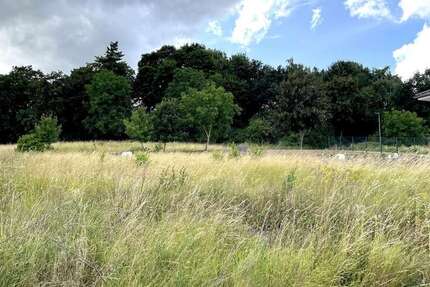 Grundstück Bassenheim - 267.720&euro; | Angebot:25483715