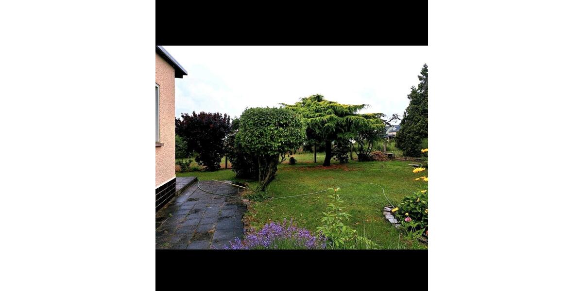 Bungalow Muldestausee - 1 Zimmer, 25 m&sup2;, 19.000&euro; | Angebot:26196296