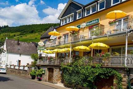 Gewerbeobjekt Burg (Mosel) - 569.000&euro; | Angebot:27151718