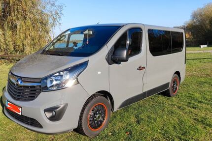Opel Vivaro 133.000 km 18.900 € Eilenburg 04838
