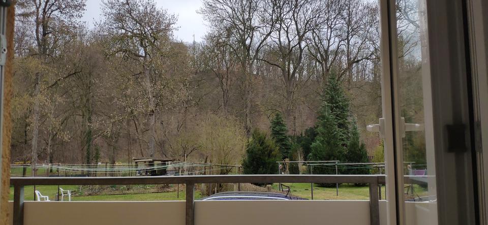 Erdgeschoßwohnung Werdau - 2 Zimmer, 59 m&sup2;, 353&euro; | Angebot:26006932