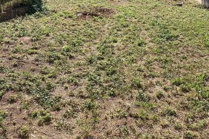 Grundstück zu verkaufen in Bruchweiler-Bärenbach 100.000 € 760 m² zimmer