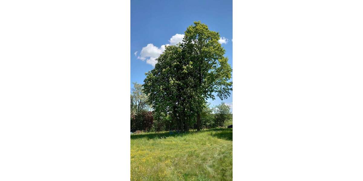 Grundstück Dietenhofen - 245.000&euro; | Angebot:26901540