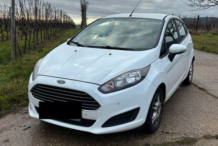 Ford Fiesta 196.000 km 3.499 &euro; Landau 76829