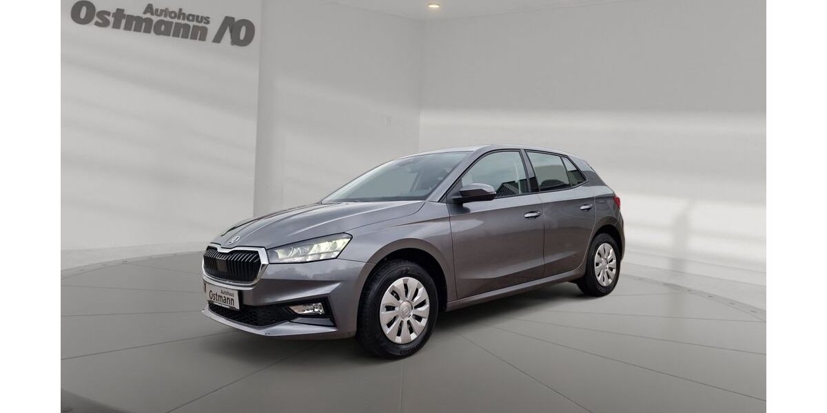 Skoda Fabia 3.000 km 18.399 &euro; Bad Arolsen 34454