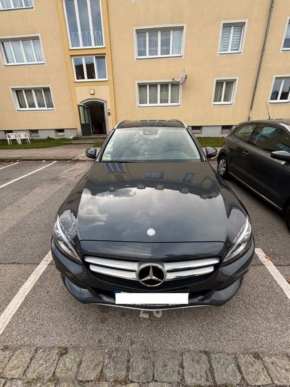 C 250