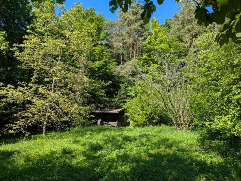 Grundstück zu verkaufen in Riedelhof 30.000 € 1590 m²