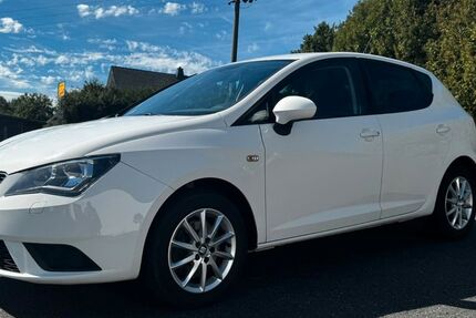 Seat Ibiza 124.894 km 8.500 &euro; Kölbingen 56459