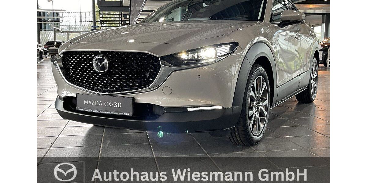 Mazda CX-30 1.600 km 30.490 &euro; Münster-Amelsbüren 48163